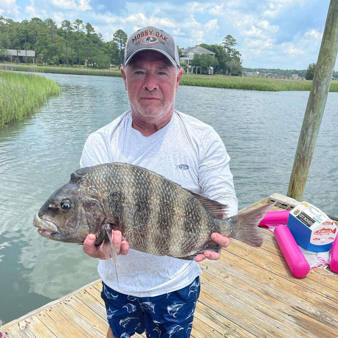 Sheepshead fish caught in NC