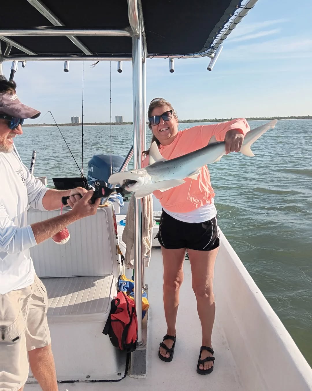 Bonnethead Shark caught while fishing at Fort Myers Beach