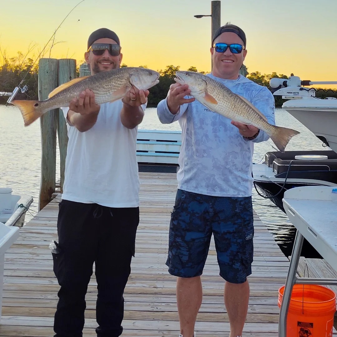 Redfish, Redfish Caught at Fort Myers Beach