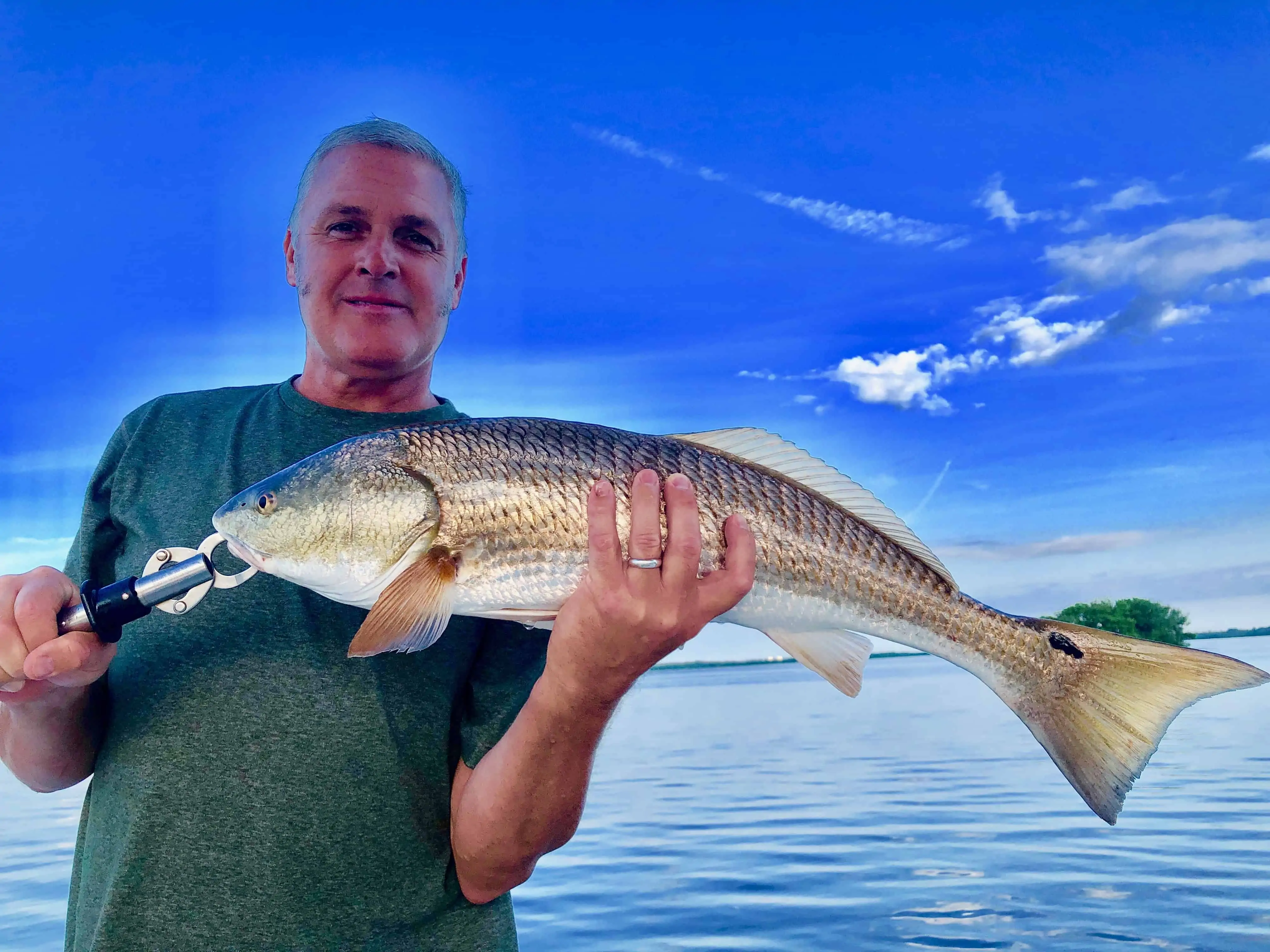 Angler with a 31-inch fish in FL