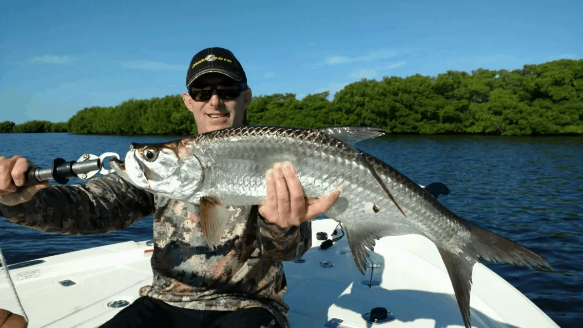 A huge Tarpon fish caught in FL