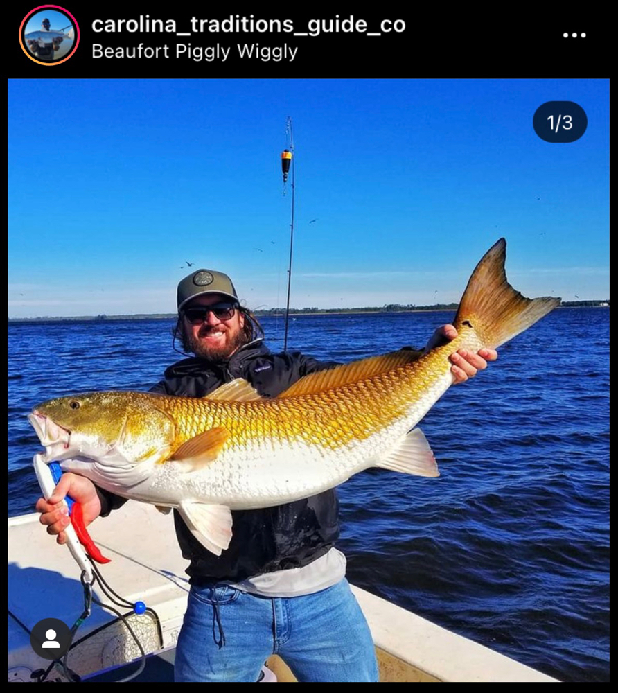 Fisherman with a 36-inch catch in North Carolina