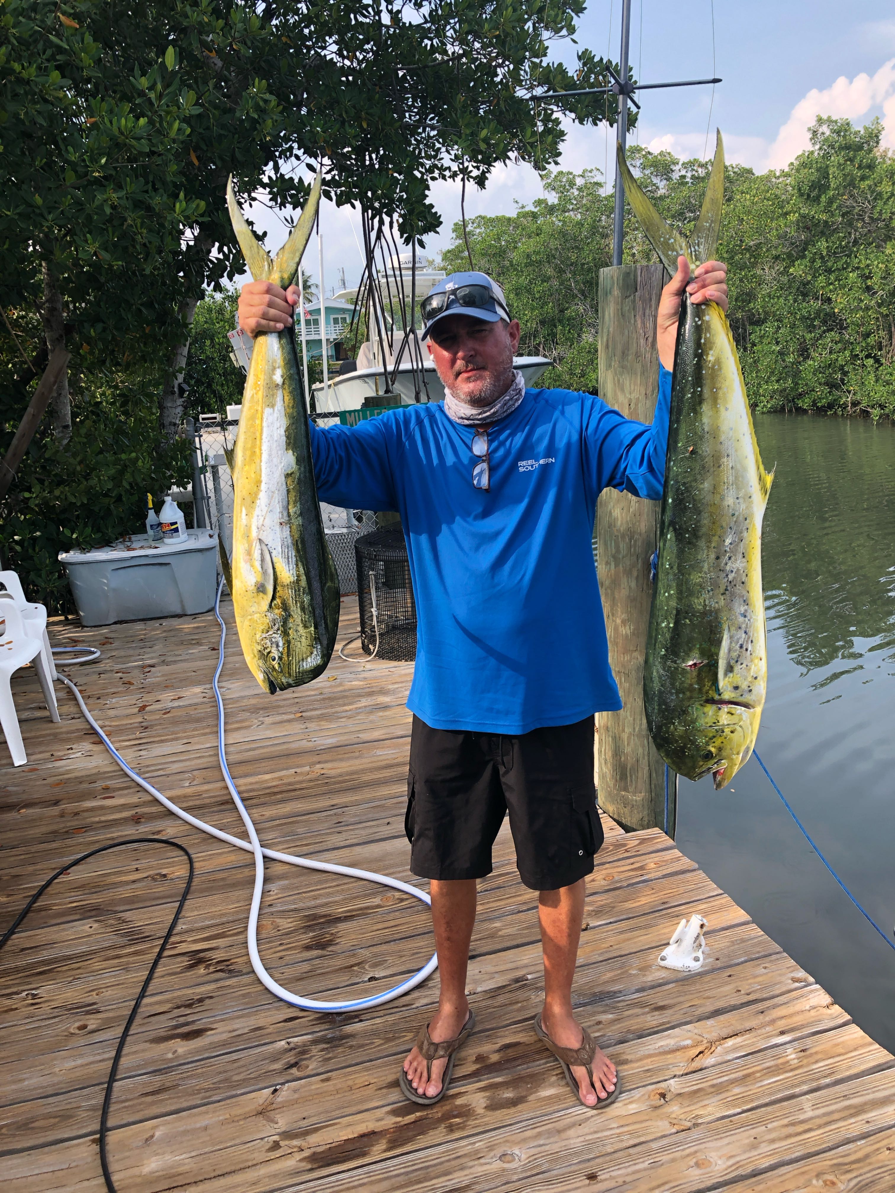 Two mahi mahi fish caught in Key Largo FL displayed on dock