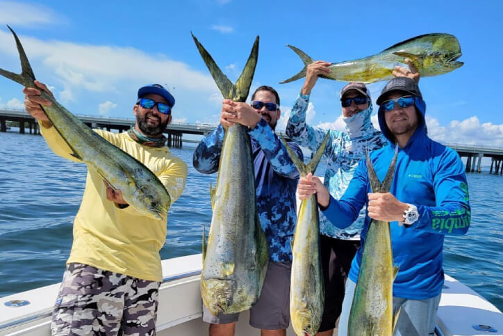 5 fish caught while fishing in Miami