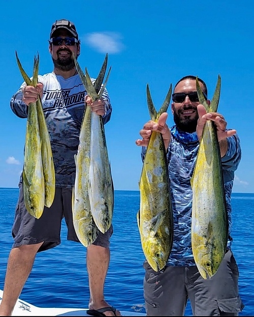 Four big fish caught in Florida while fishing
