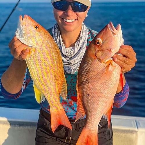Two Mutton Snapper fish in Florida fishing