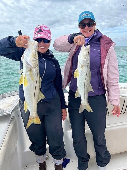 Two snook fish, 36 inches long, caught while fishing in FL