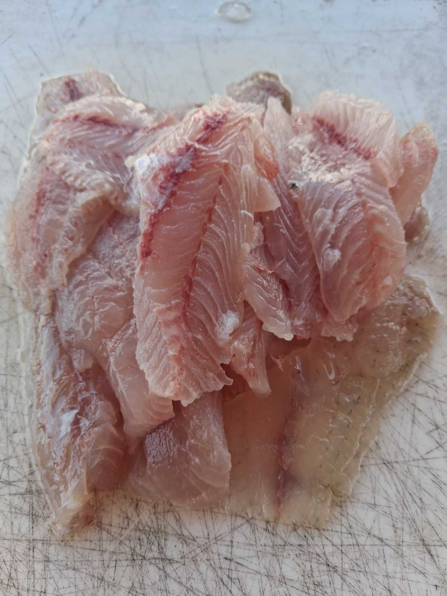 Fresh fish fillets on cutting board in Port Orange FL fishing preparation