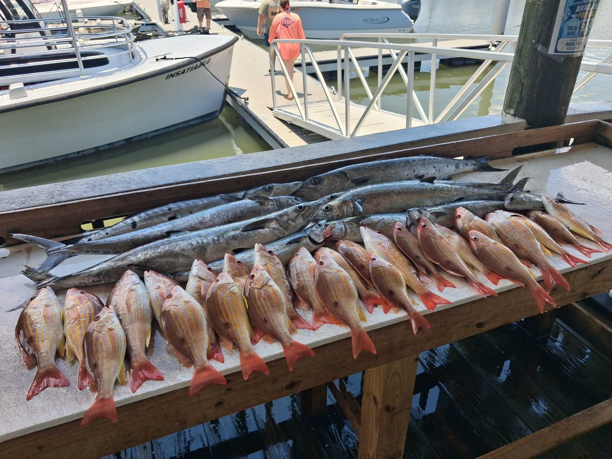Fresh caught lane snapper and other fish displayed on cleaning table at Port Orange FL marina dock
