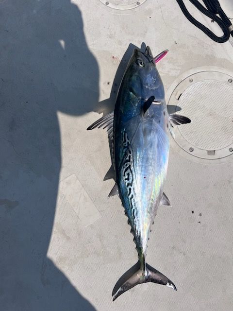 Fishing adventure in MA