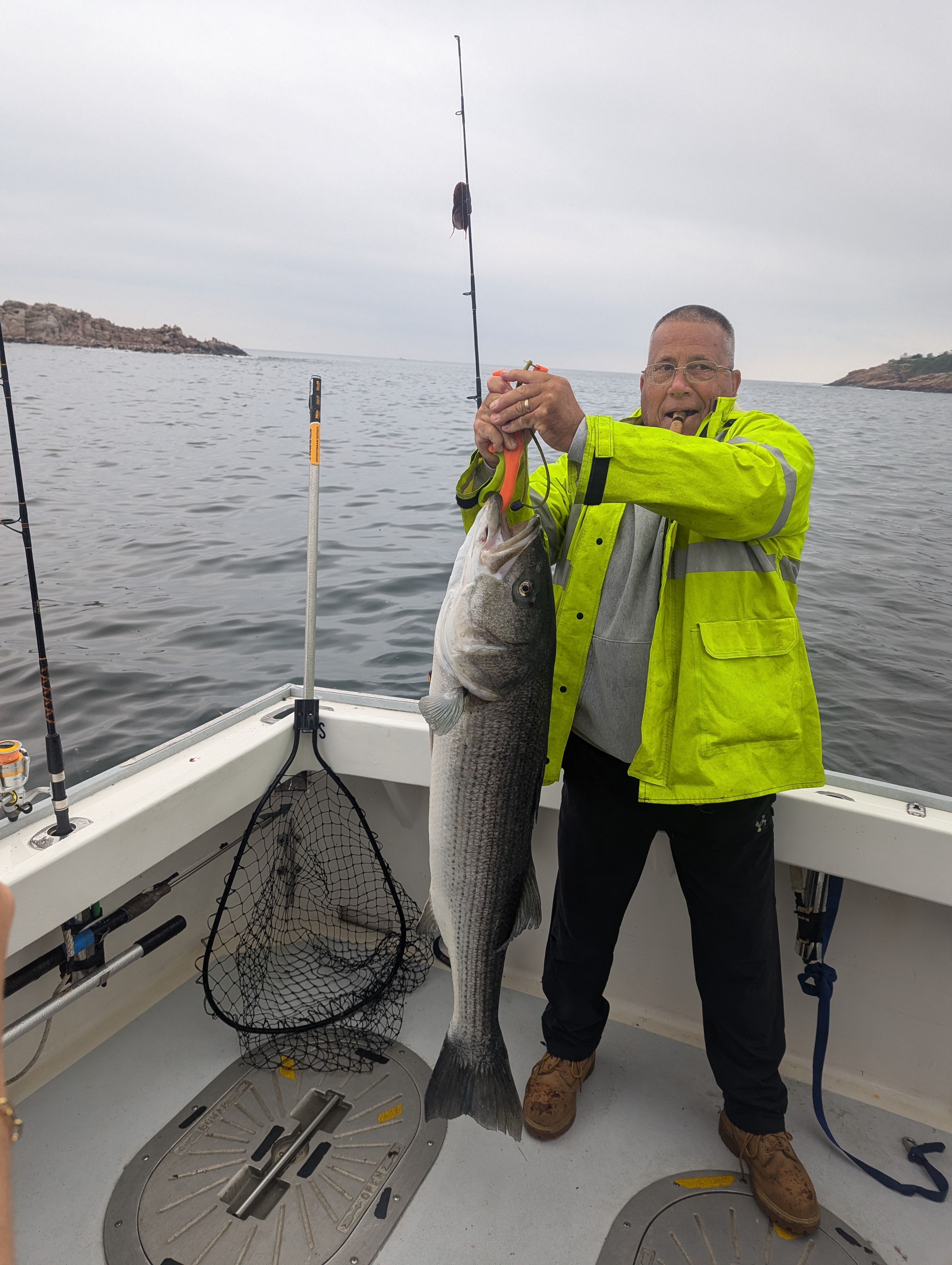 Striped bass caught fishing in Gloucester