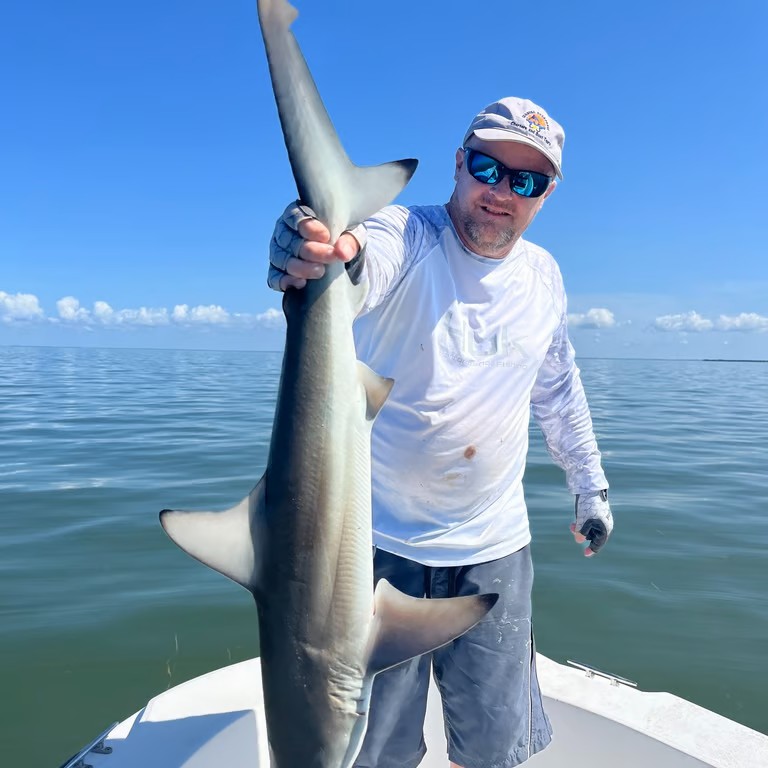 Atlantic Sharpnose Shark fishing in Yankeetown