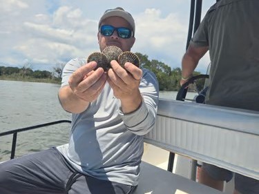 Scalloping trip on pontoon boat in Yankeetown Florida shallow waters with snorkeling gear