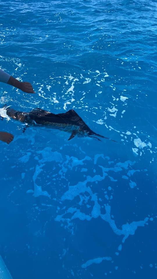 Fisherman with fishing pole, Marathon location