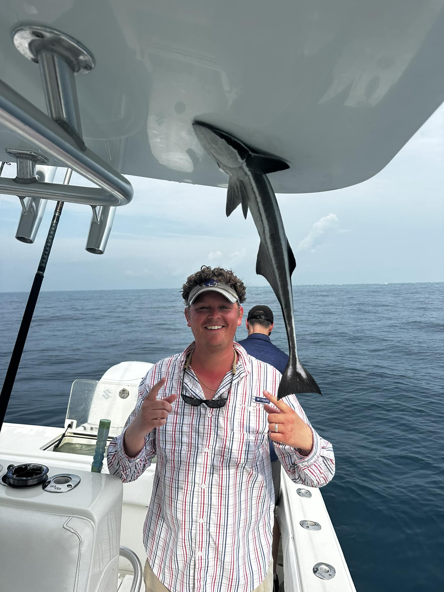 Image of a great white shark, 24 inches long, caught while fishing in FL.