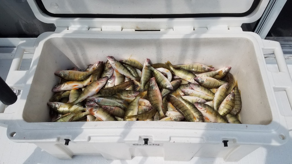 Two fish caught in Ohio