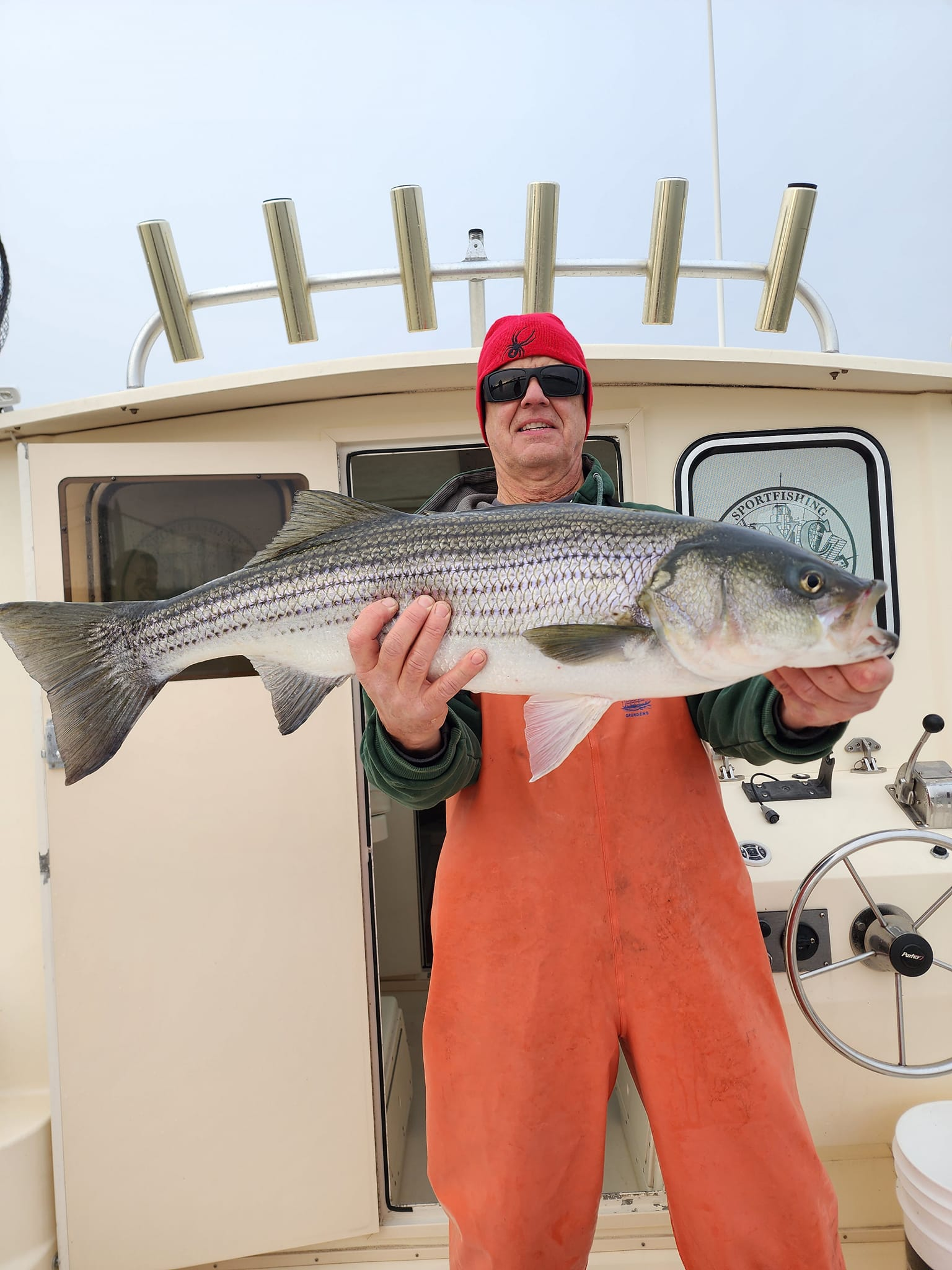 Striped bass, 40-inch fish, caught in Jersey City