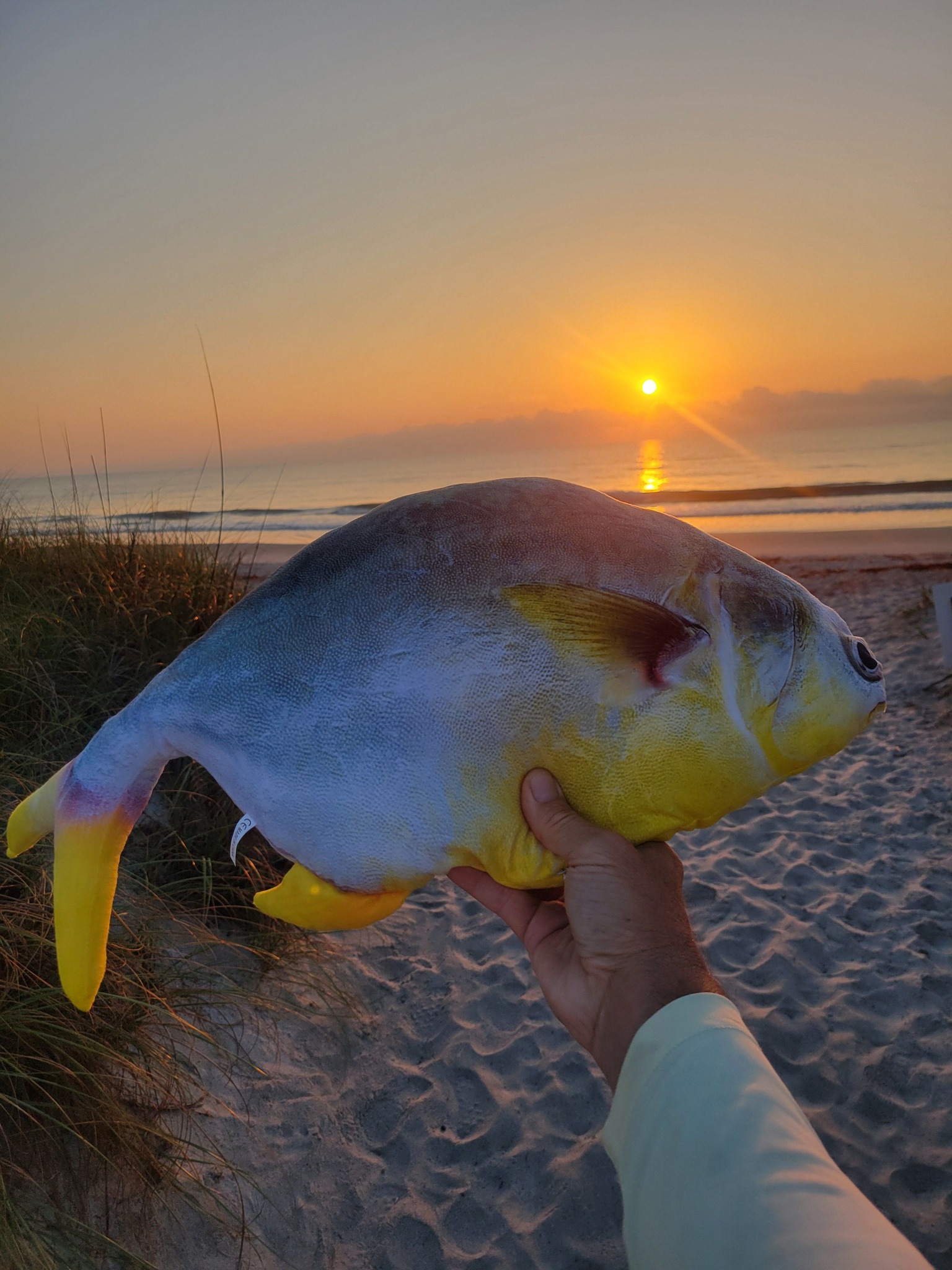 Large fish held up during sunset at Melbourne FL beach with ocean waves in background