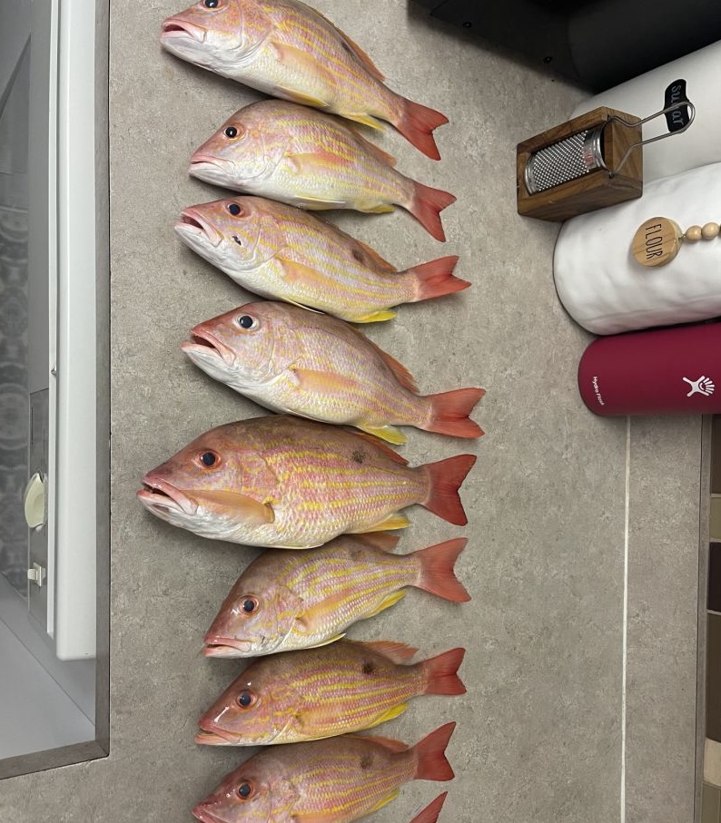8 fishing in FL