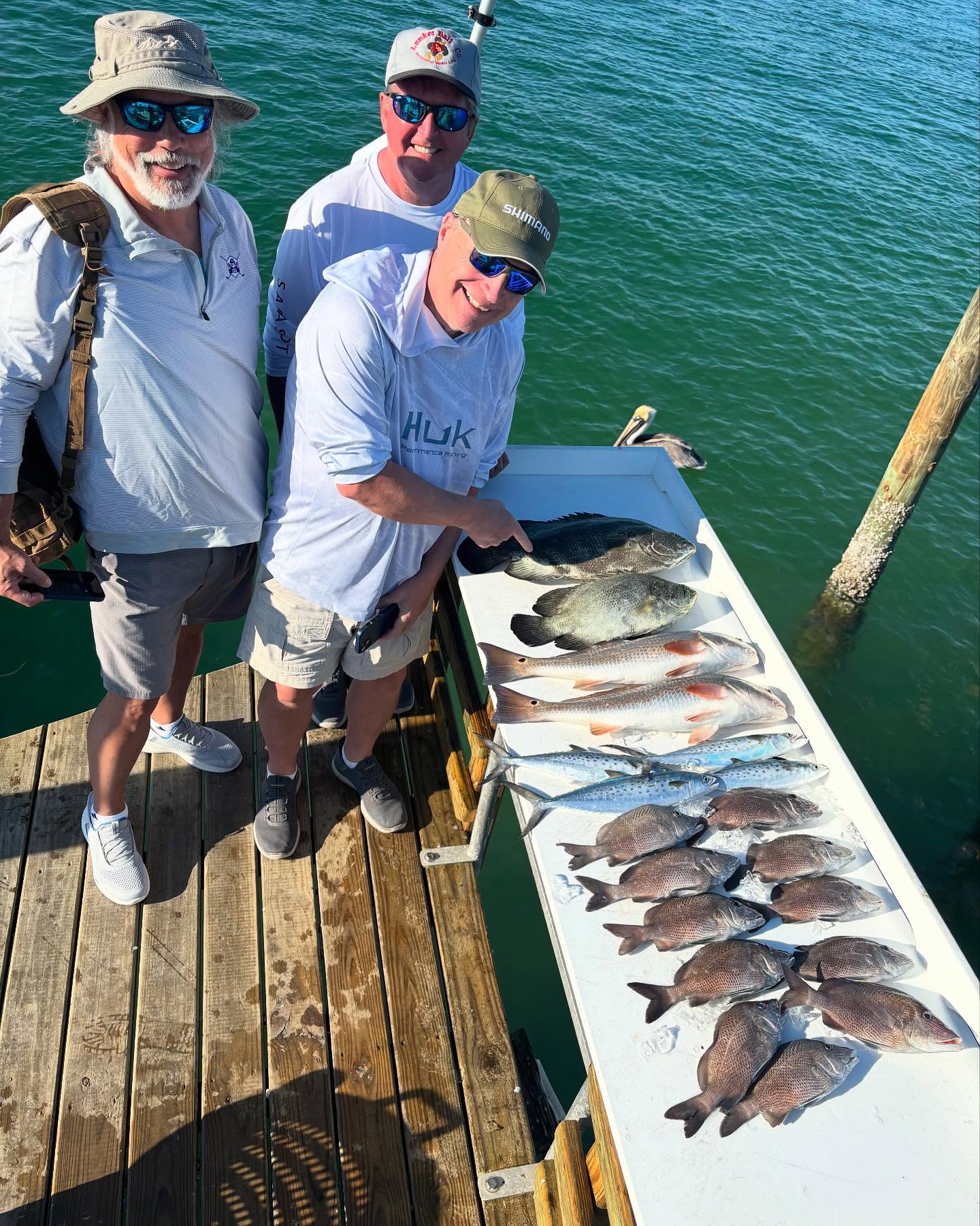 4 tripletail fish caught in North Port