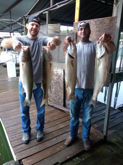 4 bluefish caught while fishing in TX