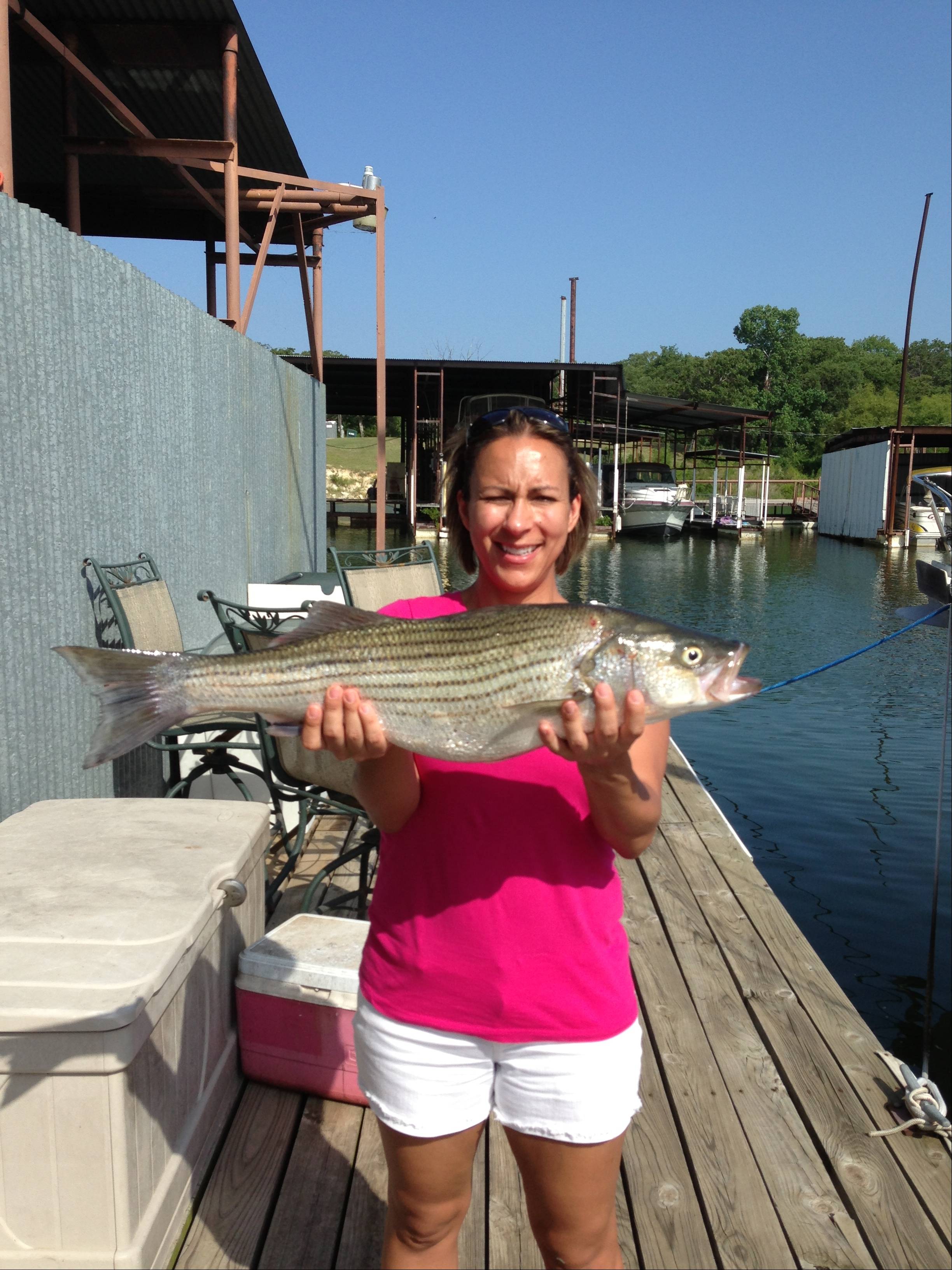 A striped bass caught in Pottsboro, Texas