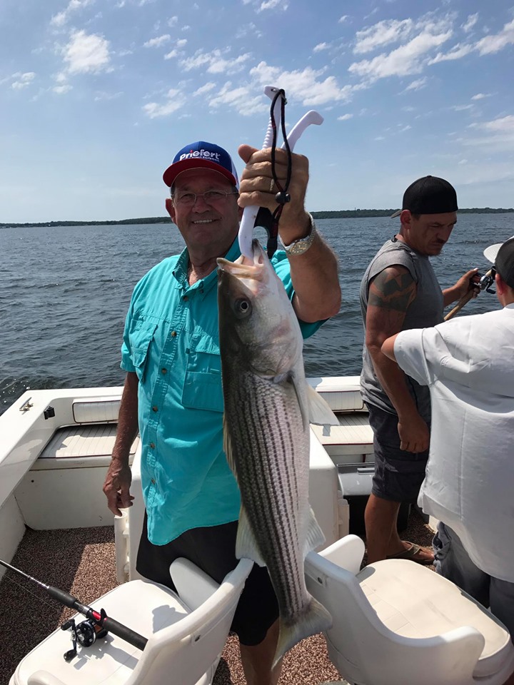 Striped bass caught in TX
