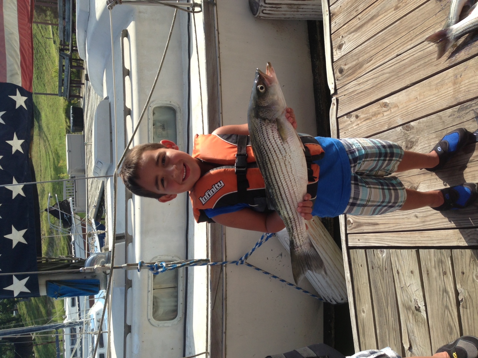 Striped bass caught in TX
