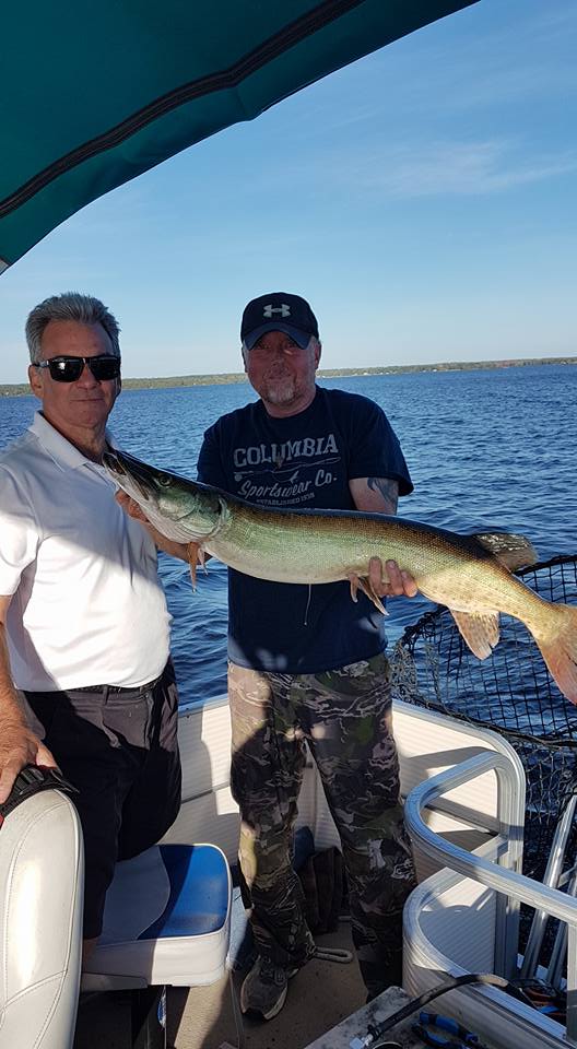 A massive Muskellunge fish caught while fishing in Renfrew
