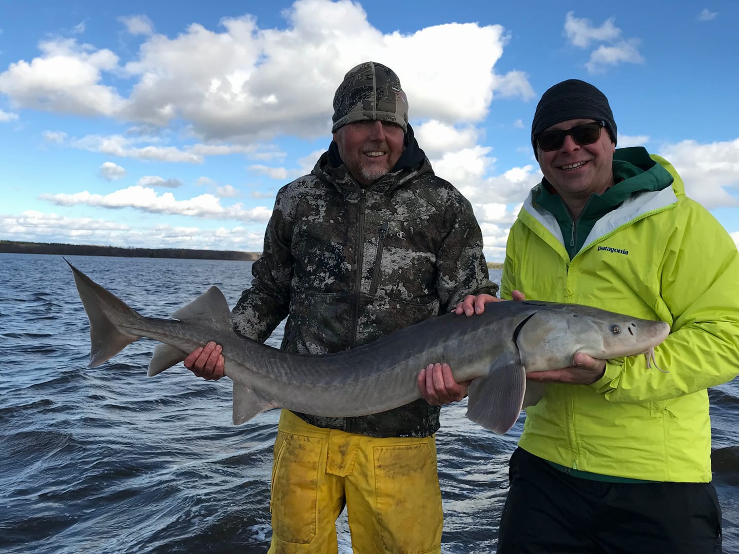 A large lake sturgeon caught in Renfrew by two people fishing and hunting
