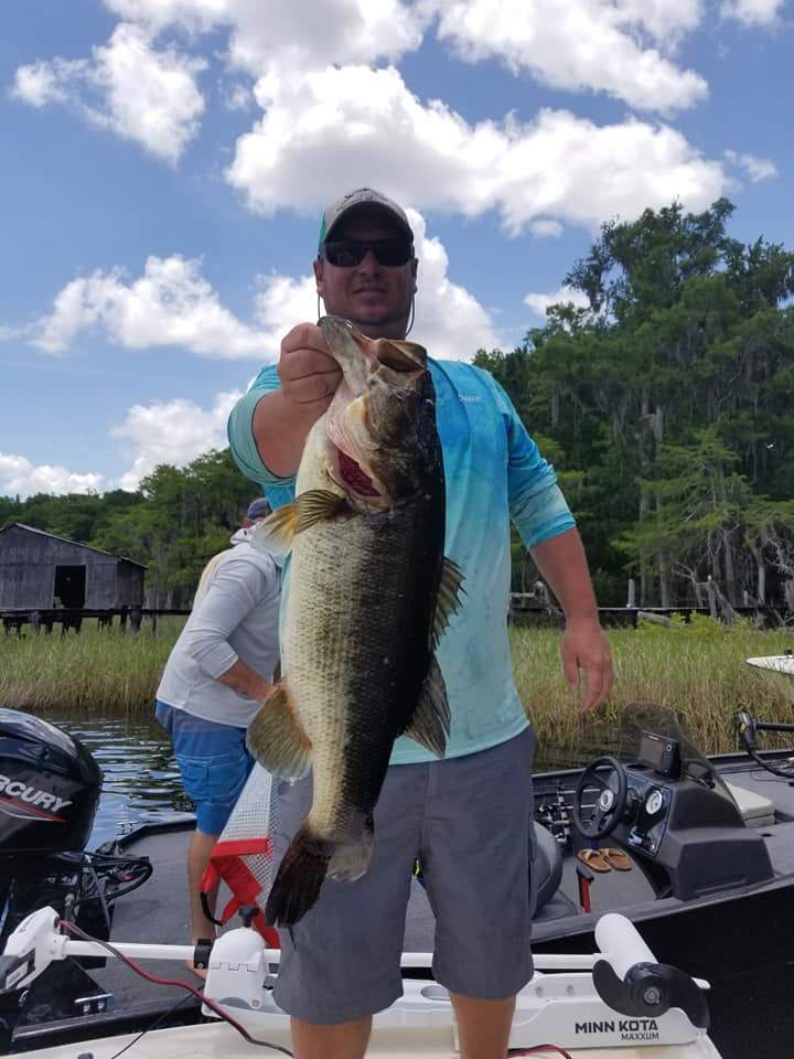 Largemouth bass caught in FL