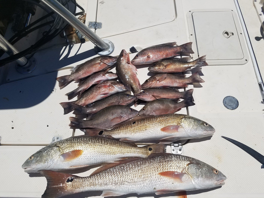 9 redfish caught in FL