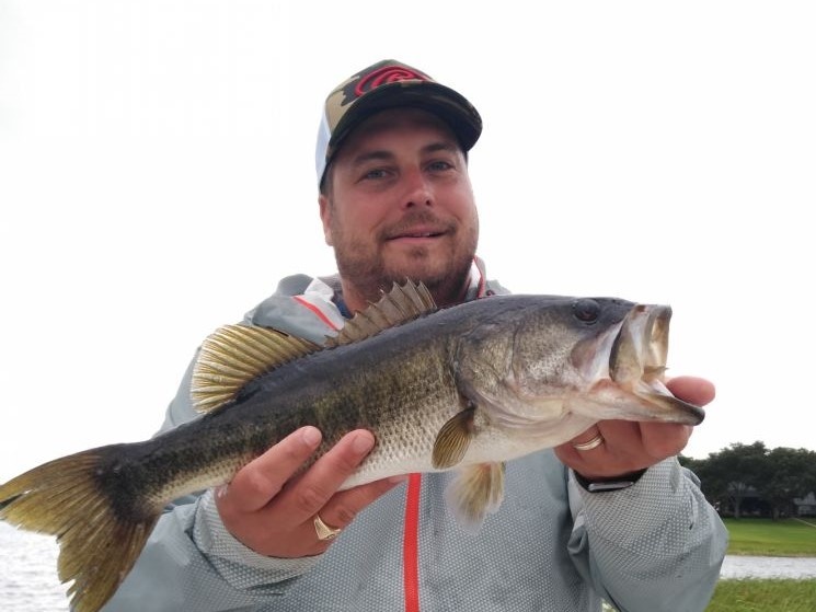 Largemouth bass caught in Orlando