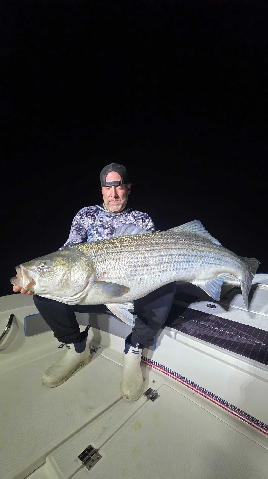 Large striped bass caught fishing in Milford CT displayed on boat deck at night
