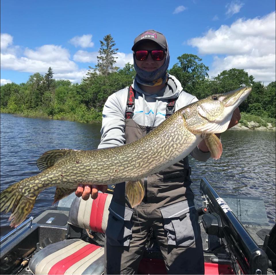 A Northern Pike measuring 34 inches, caught in ND while fishing.