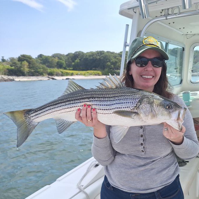 Striped bass caught in South Portland