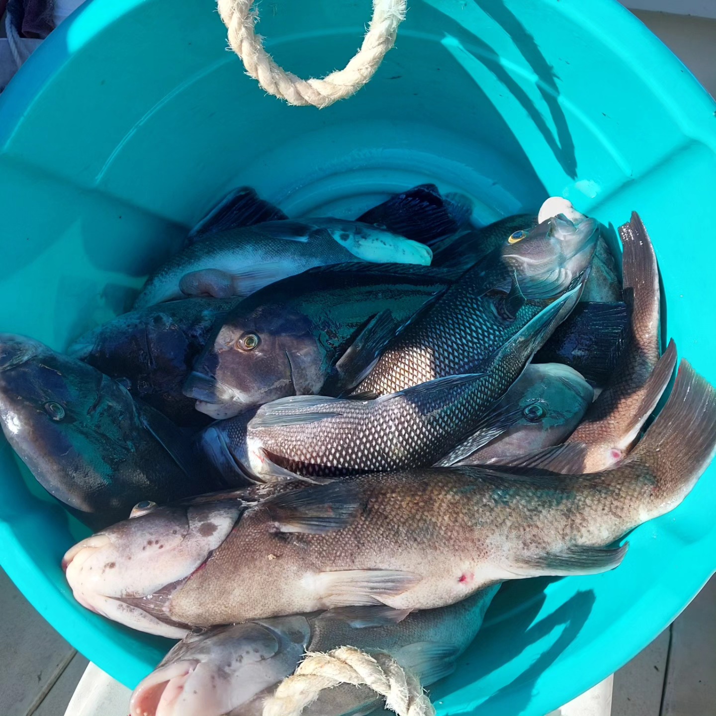 Fishing adventure in RI