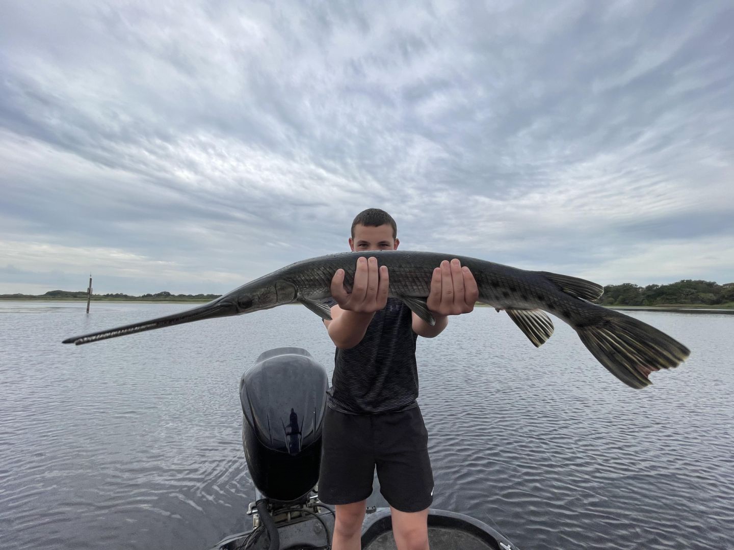 Longnose Gar, a 62-inch fish caught while fishing in FL