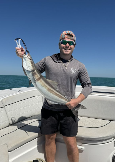 Impressive catch of a great barracuda measuring 15 inches at Fort Myers Beach