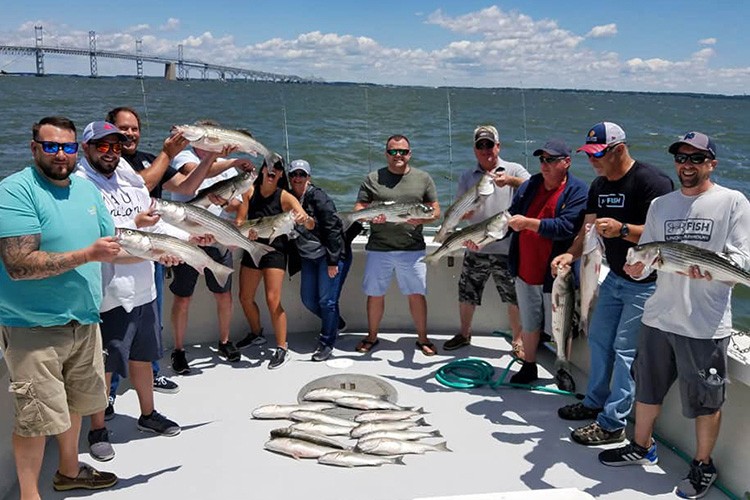 4 big fish caught while fishing in Deale