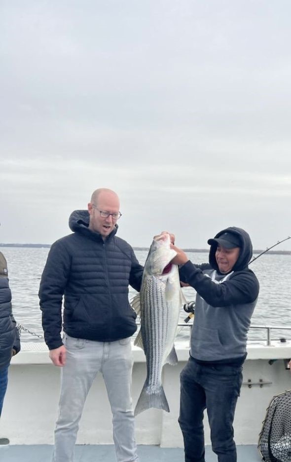Striped bass caught in Deale, Maryland