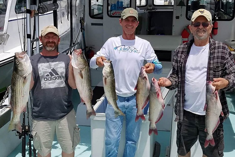 Striped bass fishing in Deale