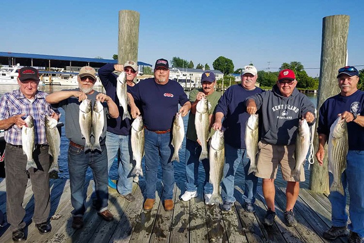 Nine striped bass caught at Deale location