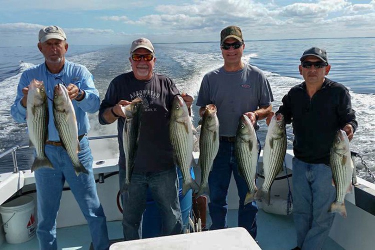 6 striped bass caught in Deale