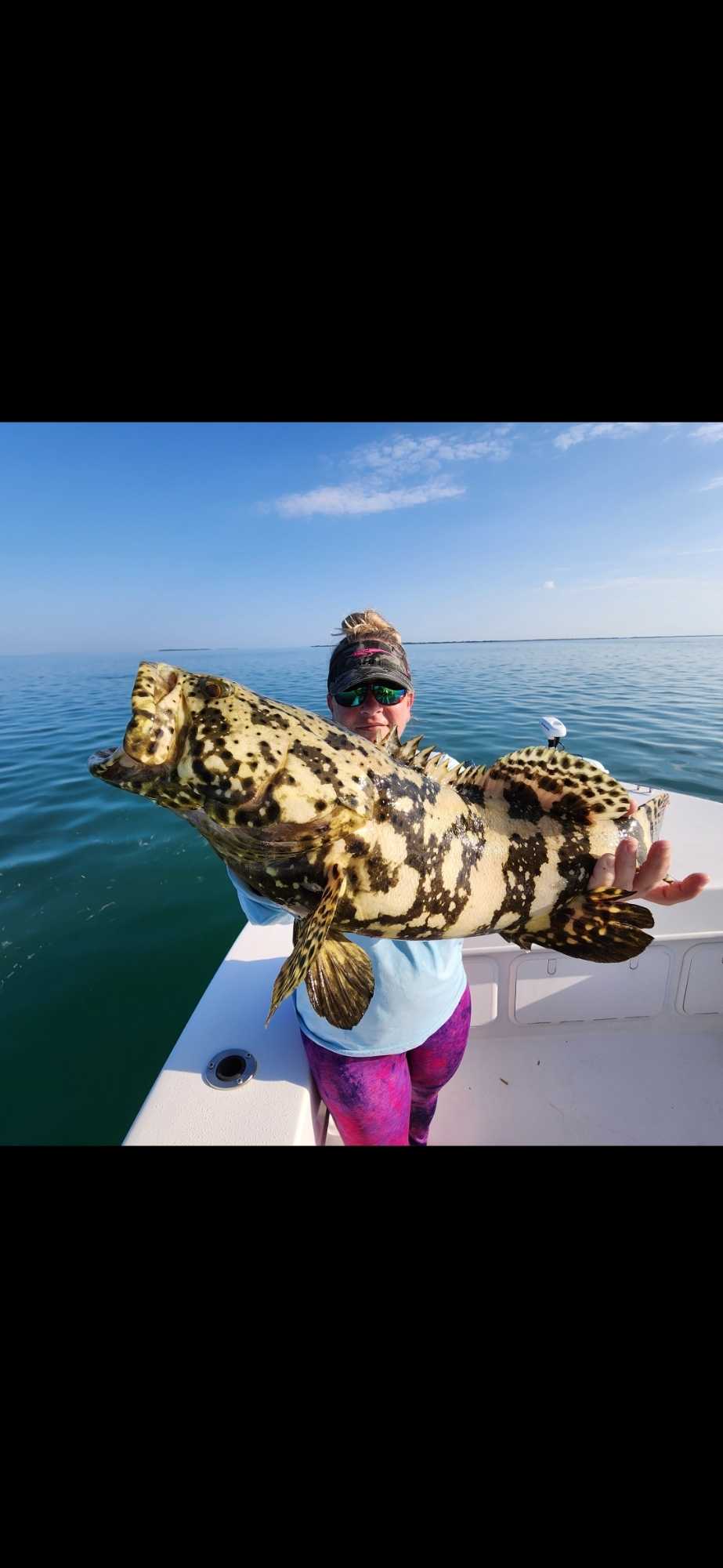Large Goliath Grouper caught during fishing charter in Big Pine Key Florida