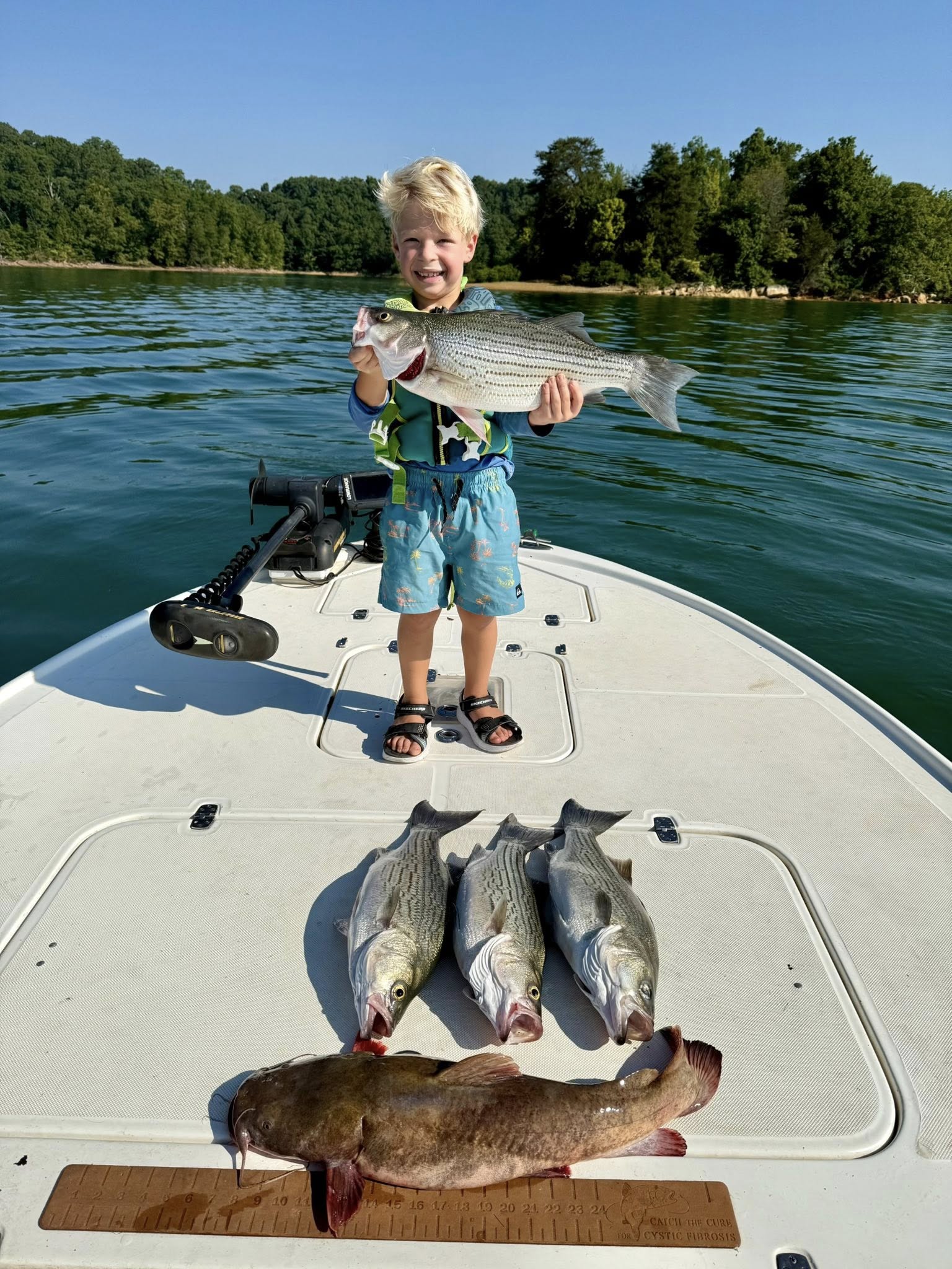 Four striped bass, blue catfish, and wiper fish caught while fishing in Tennessee
