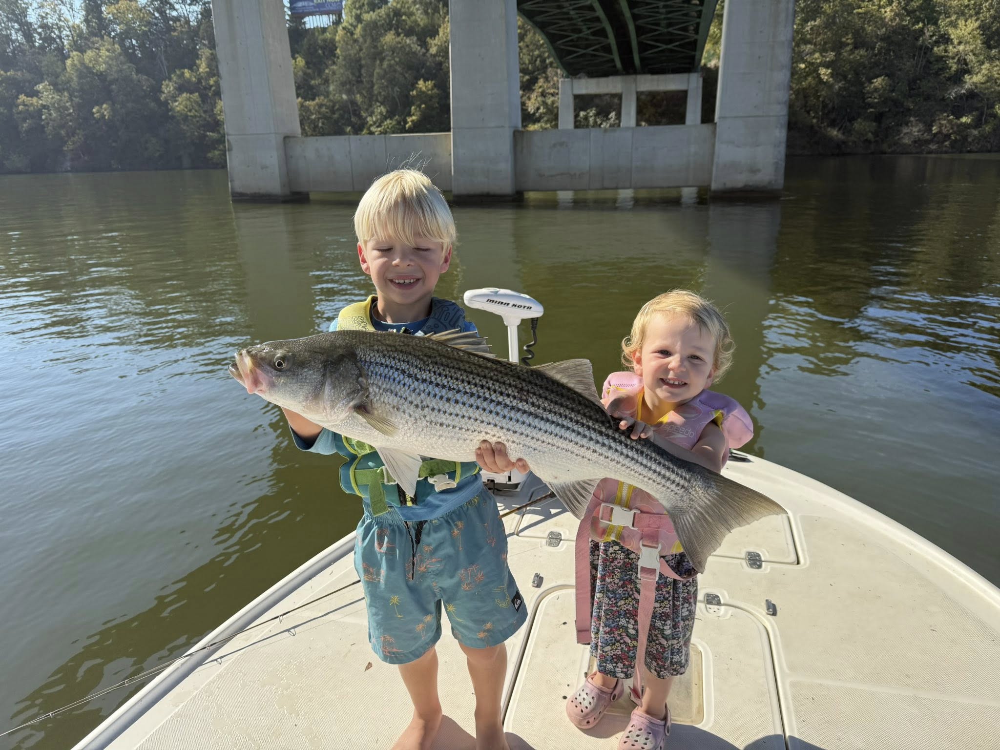Striped bass caught by two anglers in Tennessee
