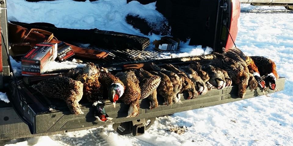 Knoxville cast and blast trip - guided waterfowl hunting and fishing combo for up to 6 guests