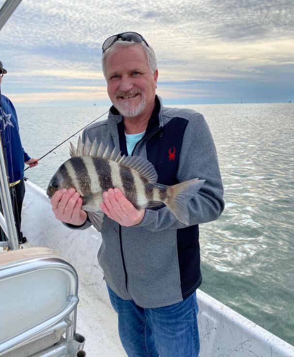Sheepshead fish caught in Gulf Shores