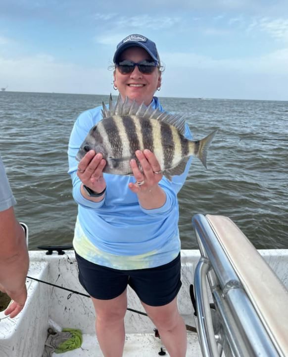 Sheepshead fish caught in Gulf Shores